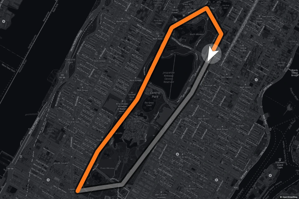 GPS Path + Compass gauge rendered by GaugeReel