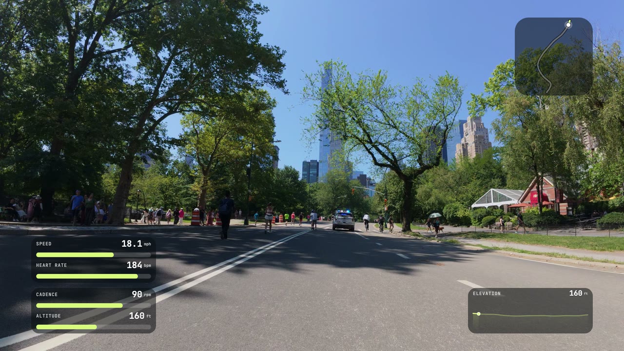 Vector look: gauges over a Central Park bike ride